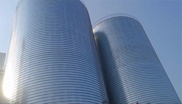 镇康2座混凝土高架卷板仓